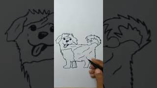 Tutorial Of Maltipoo Dog [upl. by Shaya249]