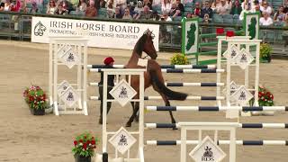 2024 RDS Dublin Horse Show Sunday 13151400 Tristan Tucker Masterclass Simmonscourt [upl. by Trovillion]