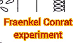 Fraenkel Conrat Experiment botany biology csirnet ssblectureship Virus [upl. by Anirhtak]