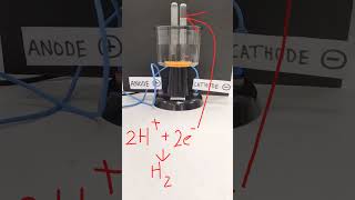 Electrolysis of Sulfuric Acid [upl. by Gilly852]