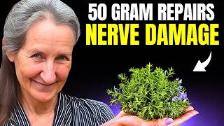 THEY HID THIS 7 Herbs That REVERSE Nerve Damage  Barbara ONeill [upl. by Edrick24]