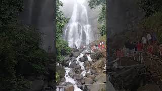 Amboli Ghat WaterfallWaterfall in kokanAmboliGhatKokannaturesloverloveshorts [upl. by Bannon]