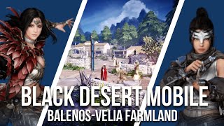 Black Desert Mobile Walkthrough Season Character Balenos Part1 Velia Farmland [upl. by Drarig871]