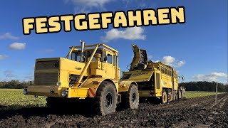 Rübenroder versenkt  K700a Retter in der Not  Farmvlog 154 [upl. by Dagna]