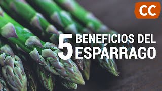 5 Beneficios de los Espárragos  Ciencia de la Comida [upl. by Anaillil335]