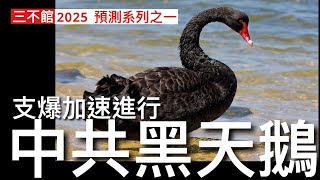 三不館 I 21112024 ￼￼中共黑天鵝出現 習近平出現布里茲尼夫症候群 樓市崩潰消費萎縮 企業投資減少失業上升 外資撤出中國股市 外國直接投資一路減少 政府官僚臃腫公務員及維穩開支天文數字 [upl. by Gerik]