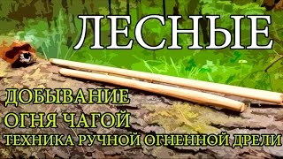 Добывание огня чагой  Техника ручной огненной дрели  Starting a Fire with Chaga  Hand Drill [upl. by Alper]