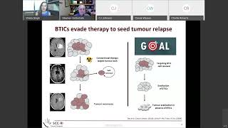 031 Therapeutic Targeting of Self Renewal of Medulloblastoma Stem Cells Strategies [upl. by Herriott940]