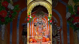 Shri Ranchhodraiji live Darshan Dakor Temple [upl. by Nawyt727]