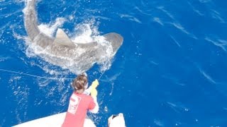 Islamorada Shark Fishing [upl. by Armat]