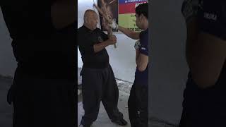 Can You Punch in Filipino Arnis by Bobby Taboada Part Two [upl. by Blasius]