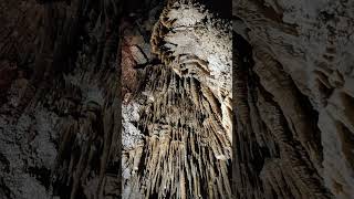 Stalactites and Stalagmites cave underground shorts [upl. by Sonnnie]