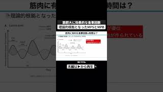 筋肥大には1日6食の理論的根拠となったMPSとMPB 筋トレ 筋トレ研究 1日6食 食事回数 切り抜き shorts [upl. by Aicilegna]