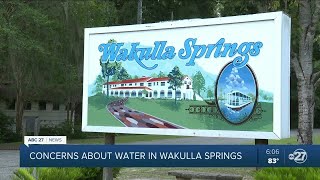 People work to protect Wakulla Springs [upl. by Johann]