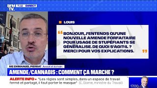 Amende forfaitaire sur les drogues comment ça marche  BFMTV répond à vos questions [upl. by Ochs93]