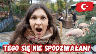 ŚNIADANIE Z FLAMINGAMI  URODZINOWA NIESPODZIANKA  VLOG [upl. by Ilujna]