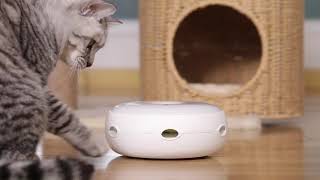 PetFusion Ambush Interactive Electronic Cat Toy [upl. by Ahsiret]