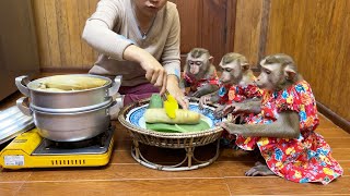 Mom Arrange Special Corn Breakfast For The Trio JJ’s amp Flloyd [upl. by Annecorinne]