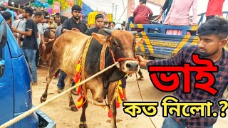 Bhai Koto Nilo 2024  Gabtoli Gorur Haat 2024  P24  Qurbani Cow Price 2024 Bangladesh [upl. by Coffee652]