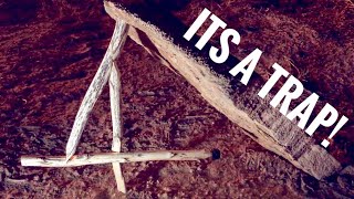 Making a Figure 4 Deadfall Trap Step By Step Primitive Trapping [upl. by Moia956]