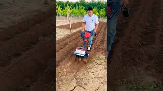 Rotary Tiller Weeder Ditching and Soil Riding Machine Applicable to greenhouse orchards 🧩 [upl. by Pavla]