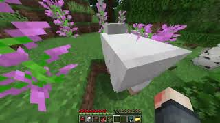 Minecraft Randomizer  Episode 1 [upl. by Cayla255]