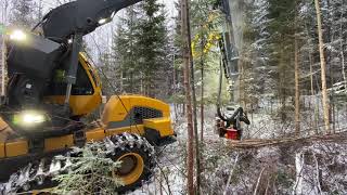 Biomass harvesting for power and heating plants in Finland with fast Nisula 335E shear head [upl. by Minne685]