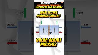 Identify The Chemical Process Shown in This Picture  Class 10 Chemistry  CBSE 2024 [upl. by Ynneg]