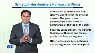 Gametophytes dominate Nonvascular Plants  Biodiversity amp EvolutionII  BT201Topic116 [upl. by Kiona]