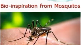 Bioinspiration from Mosquitos mosquito mosquitos bioinspiration [upl. by Yvaht688]