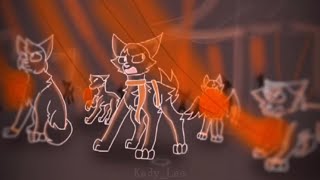 cat wanda 3  animatic [upl. by Ainosal]