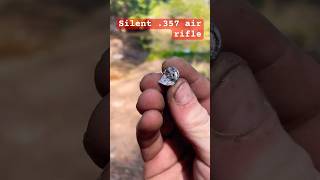 35 cal  9mm  airgun VS Piece of wood [upl. by Jesh]