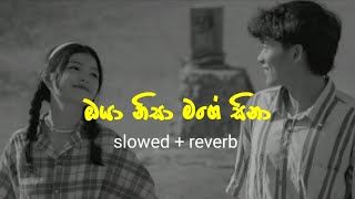 ඔයා නිසා මගේ සිනා  Oya Nisa Mage Sina  slowed  reverb  Full Song [upl. by Annaer]