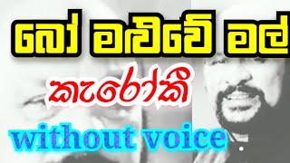 Bo Maluwe Mal  Without Voice Karaoke  බෝ මලුවේ මල් කැරෝකී  Bo maluwe mal suwadaka Karoke Song [upl. by Kamerman]