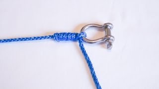 How To Tie A Half Blood Knot clinch knot [upl. by Kcirttap]