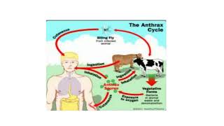 Zoonotic Diseases Video No 108 [upl. by Rolland590]