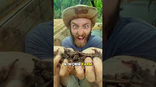 So I started a WORM FARM 🪱 Part 5 shorts fishing worms [upl. by Eejan]