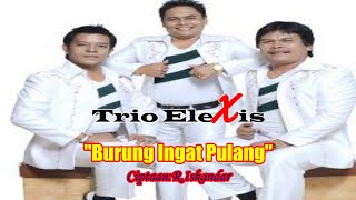 BURUNG INGAT PULANG  TRIO ELEXIS LAGU POP INDONESIA POPULER [upl. by Renckens]