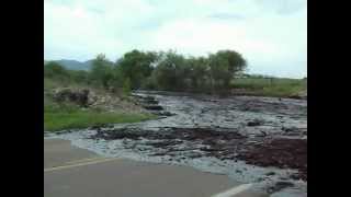 Chiricahua Mountains West Turkey Creek flash flood at Arizona State Hwy 181 August 11 2011wmv [upl. by Ecyle]