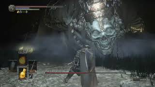 DARK SOULS 3 High Lord Wolnir Boss Fight [upl. by Lipkin168]