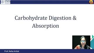 Carbohydrate Digestion and Absorption [upl. by Nico24]