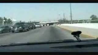 Driving in El Paso Texas [upl. by Senn]