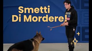 Smetti di mordere [upl. by Aimar]