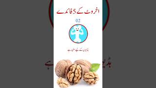 Walnut benefits  Akhrot kay fayde in urdu  AureusHealthCare [upl. by Noyerb]