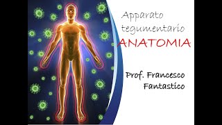 Apparato tegumentario  ANATOMIA [upl. by Aytak]