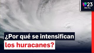 Por qué debe preocuparnos que los huracanes como Milton se intensifiquen tan rápidamente [upl. by Brenn558]