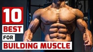 Top Trainers Agree These Are the 10 Best MuscleBuilding Exercises [upl. by Neillij]