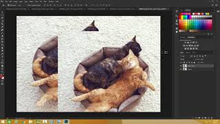 Photoshop  Opacity of a Layer [upl. by Lawrenson]