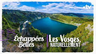 Les Vosges naturellement  Échappées belles [upl. by Eiryk]