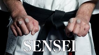 Sensei Masters of Okinawan Karate  Series One Highlights [upl. by Alfredo816]